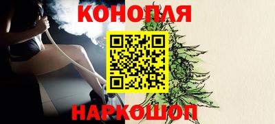 прущие крисы Аргун