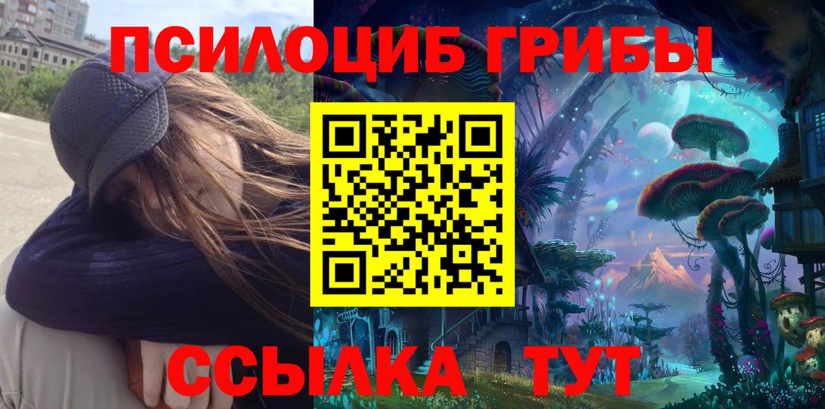 Псилоцибиновые грибы ЛСД  наркошоп  Мурино 