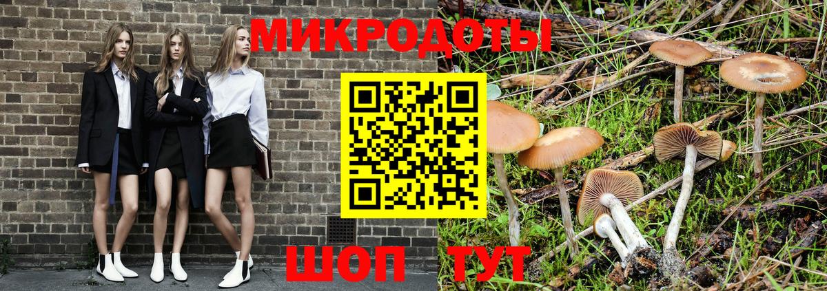 Галлюциногенные грибы Magic Shrooms Мурино