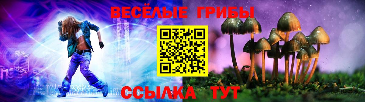 где продают   Галлюциногенные грибы MAGIC MUSHROOMS  Вход с VPN  Галлюциногенные грибы Magic Shrooms  Мурино 