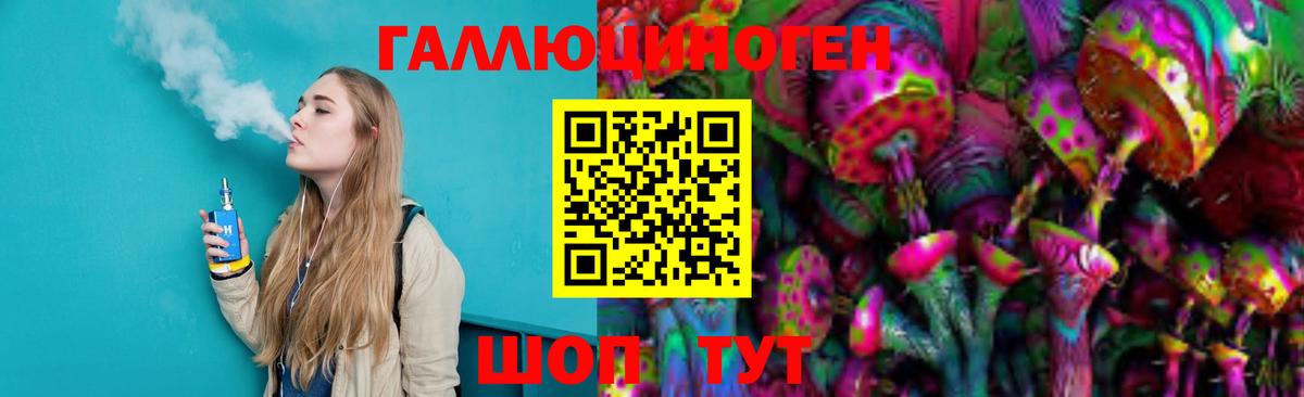 Псилоцибиновые грибы Psilocybine cubensis Мурино